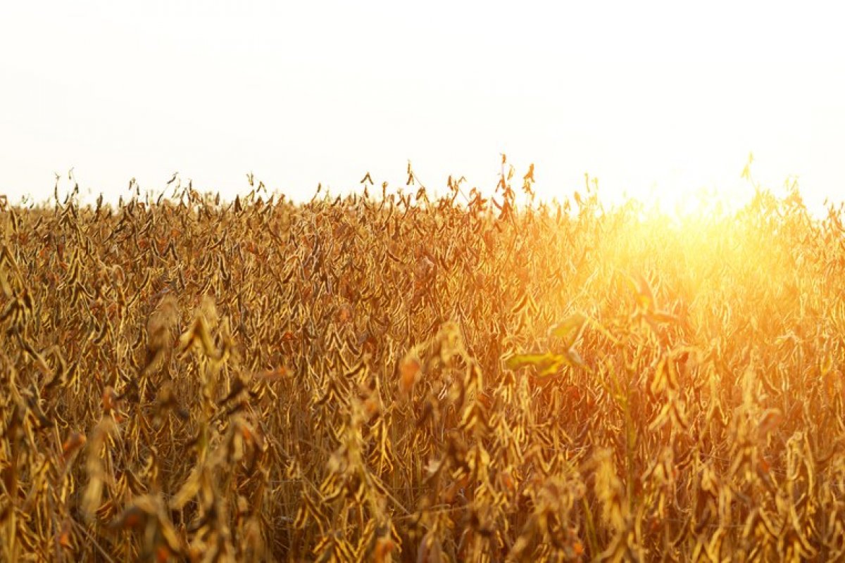 Exportações do agro ultrapassam barreira dos US$ 100 bilhões pela segunda vez