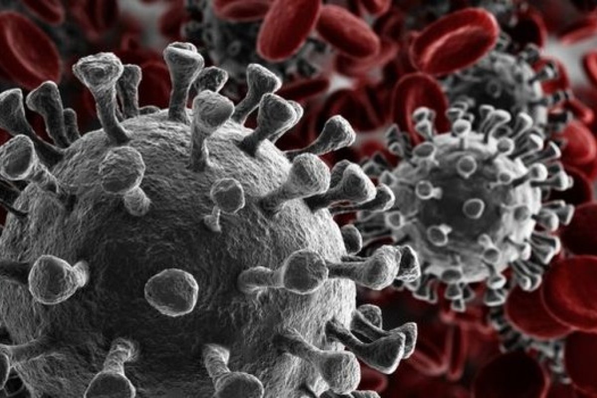 Covid-19: número de mortes em todo o mundo atinge recorde em 24h