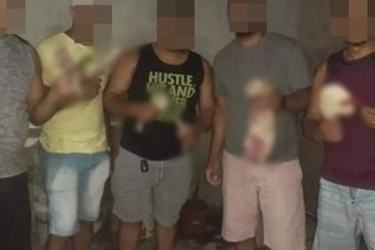 MP-BA é acionado após homens exibirem fotos de "churrasco" de gato