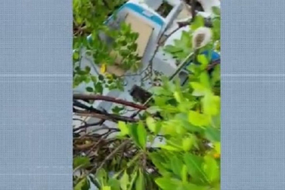 Adolescente de 12 anos morre após colisão entre lanchas no sul da Bahia