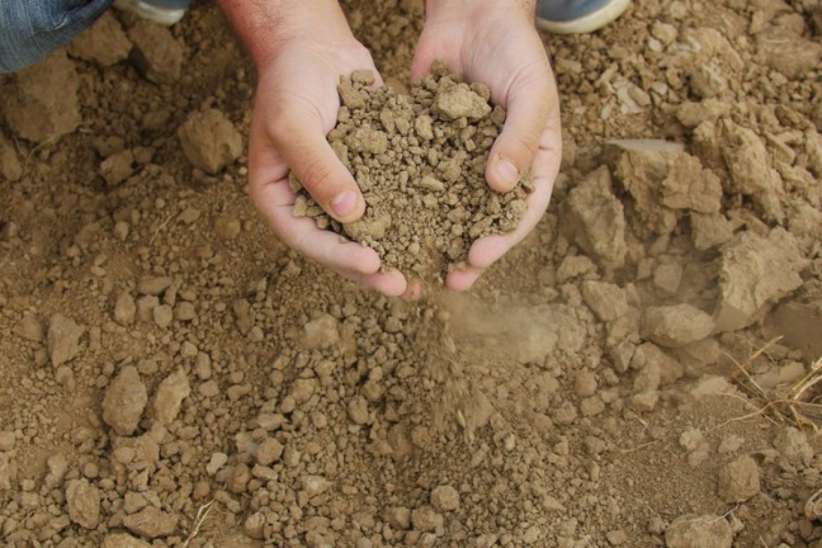 Mais de 197 mil agricultores familiares receberão benefício do Garantia-Safra