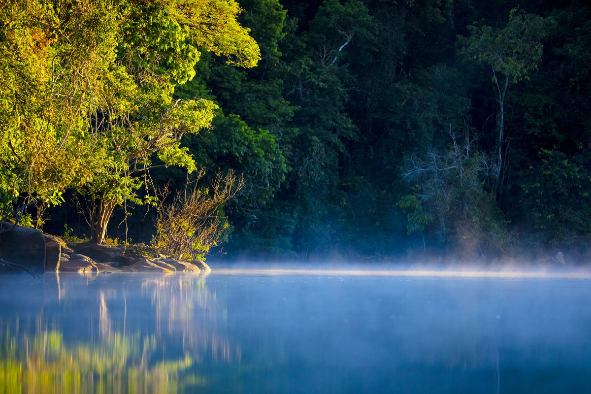 Turismo na floresta Amazônia: Quando ir?