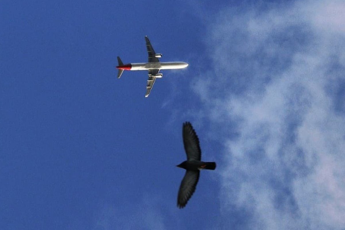Quais são os novos rumos da fotografia?