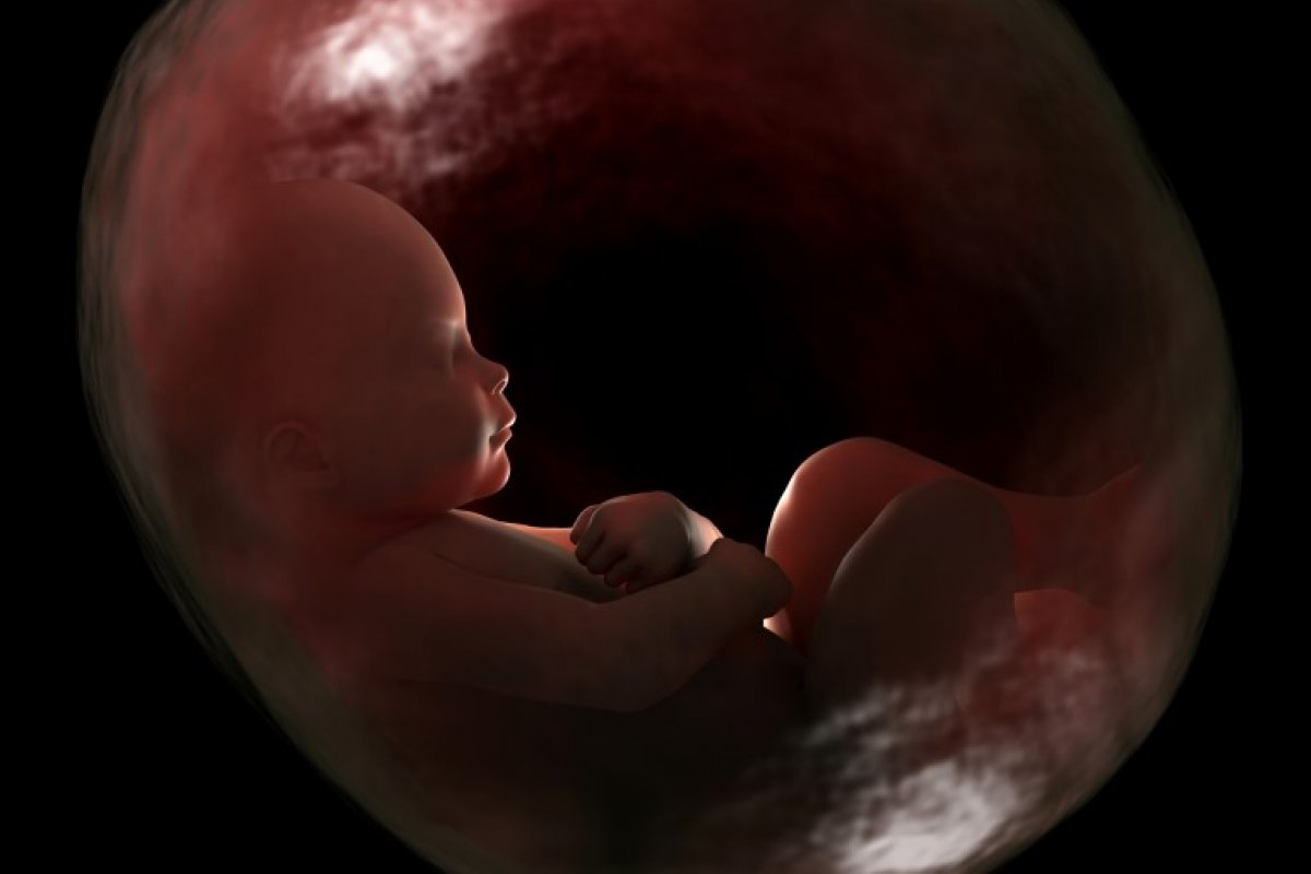 Número de abortos em 2021 supera mortes pela covid-19