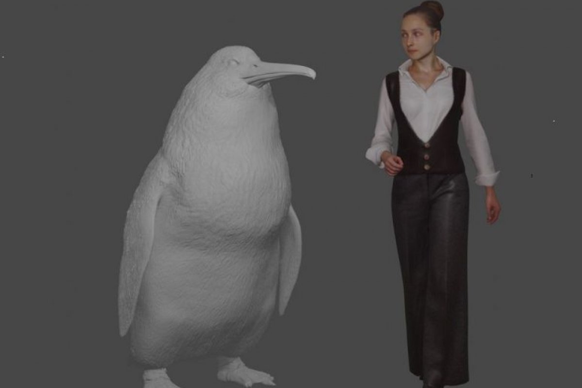 Pinguim gigante é descoberto na Nova Zelândia