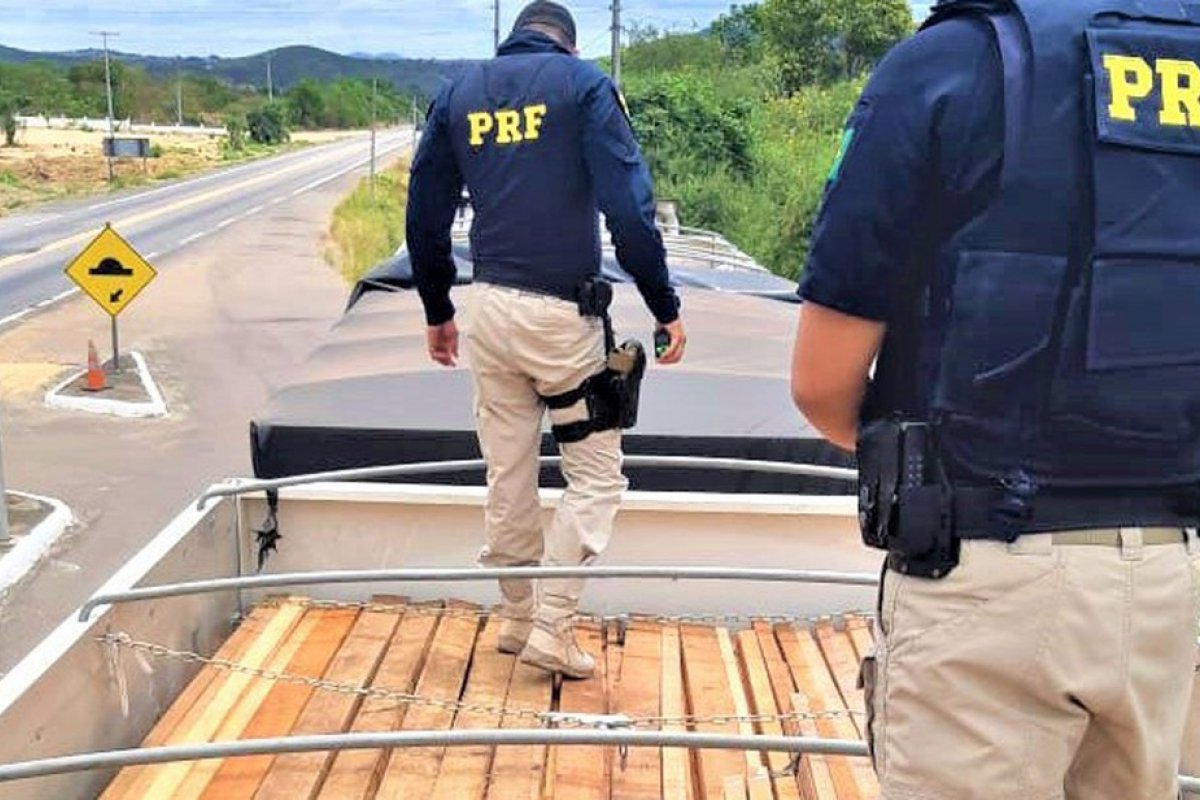 Carga de madeira transportada ilegalmente é apreendida na Bahia