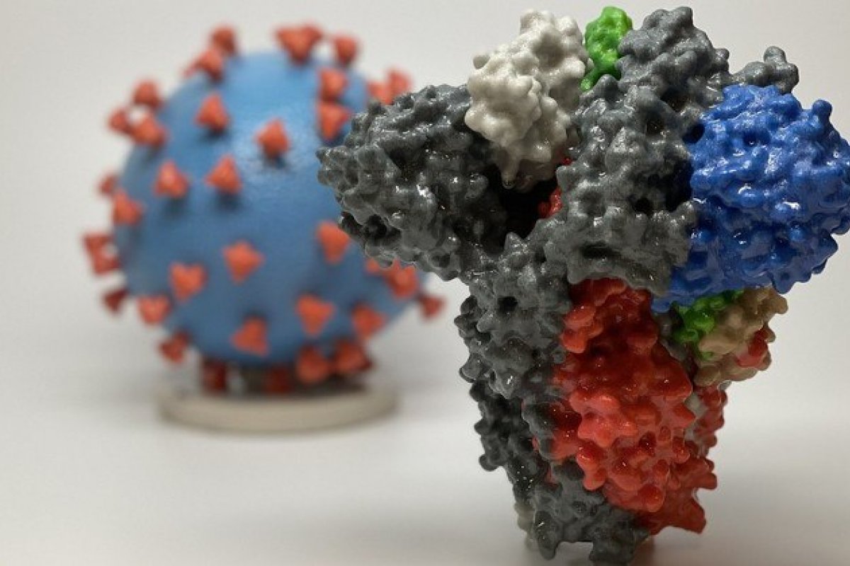 Variante brasileira do novo coronavírus preocupa OMS