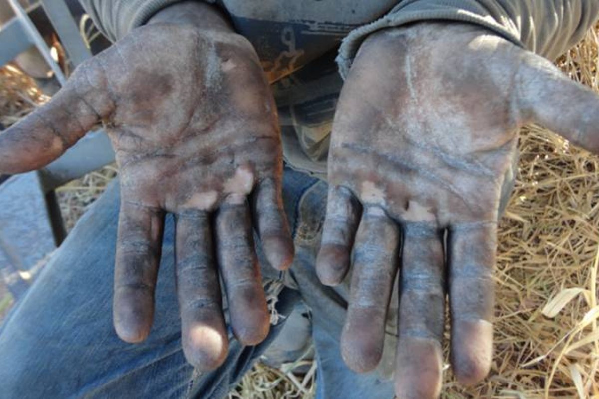 Combate ao trabalho escravo