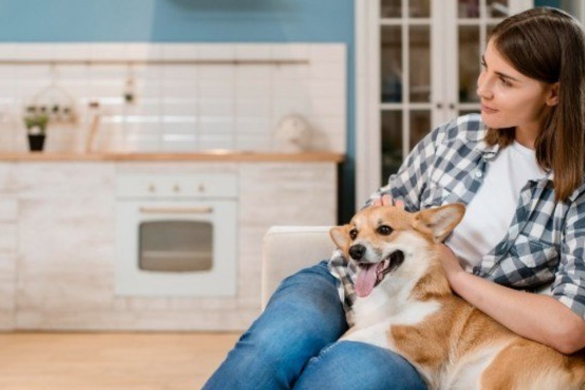 Estudo aponta que comportamento dos cães depende da personalidade de seus donos