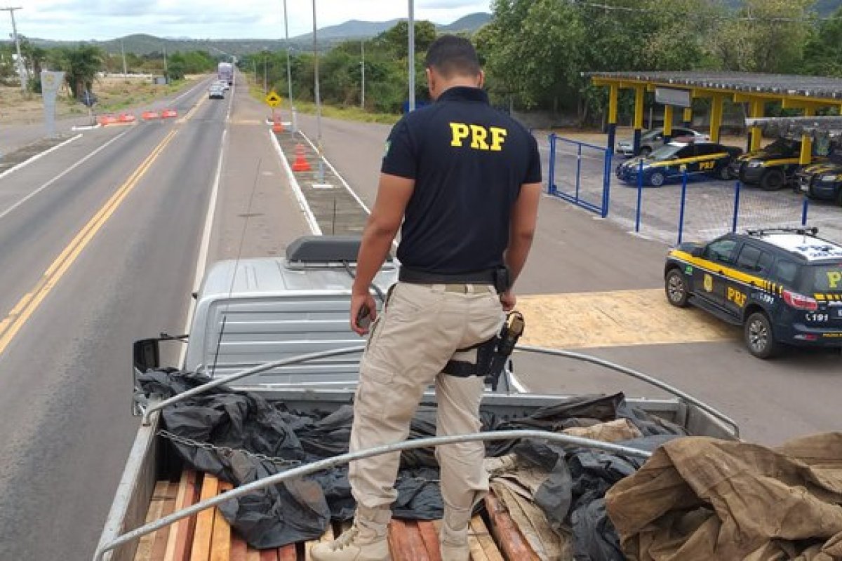 Caminhão é apreendido com carga de madeira florestal na BR-407
