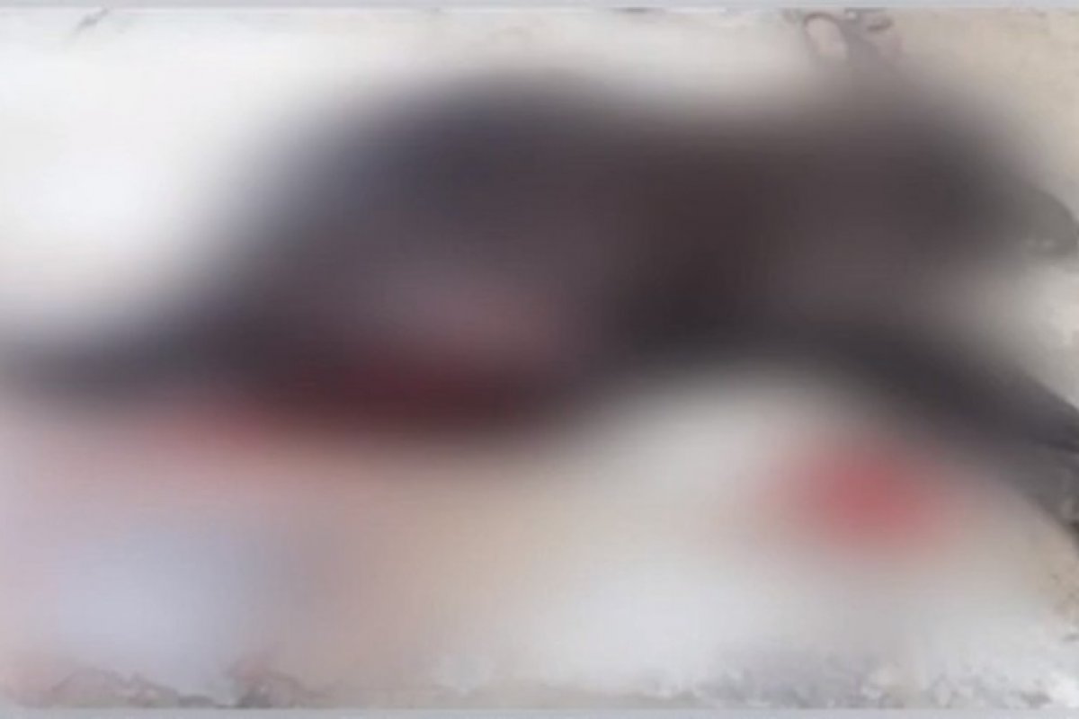 Homem mata cachorro a facadas após animal pegar pedaço de carne em açougue