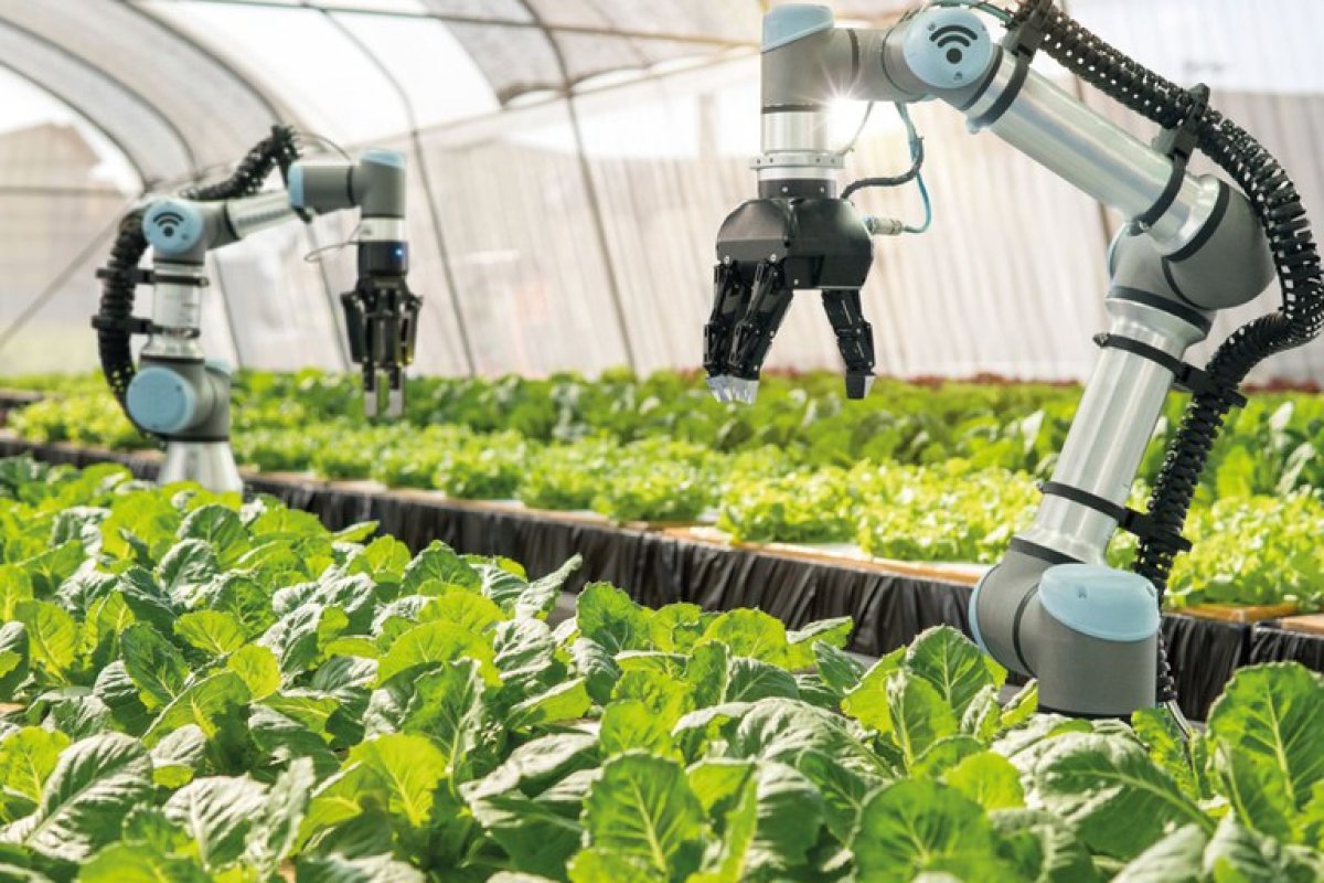 Facilidade no acesso a investimentos estrangeiros