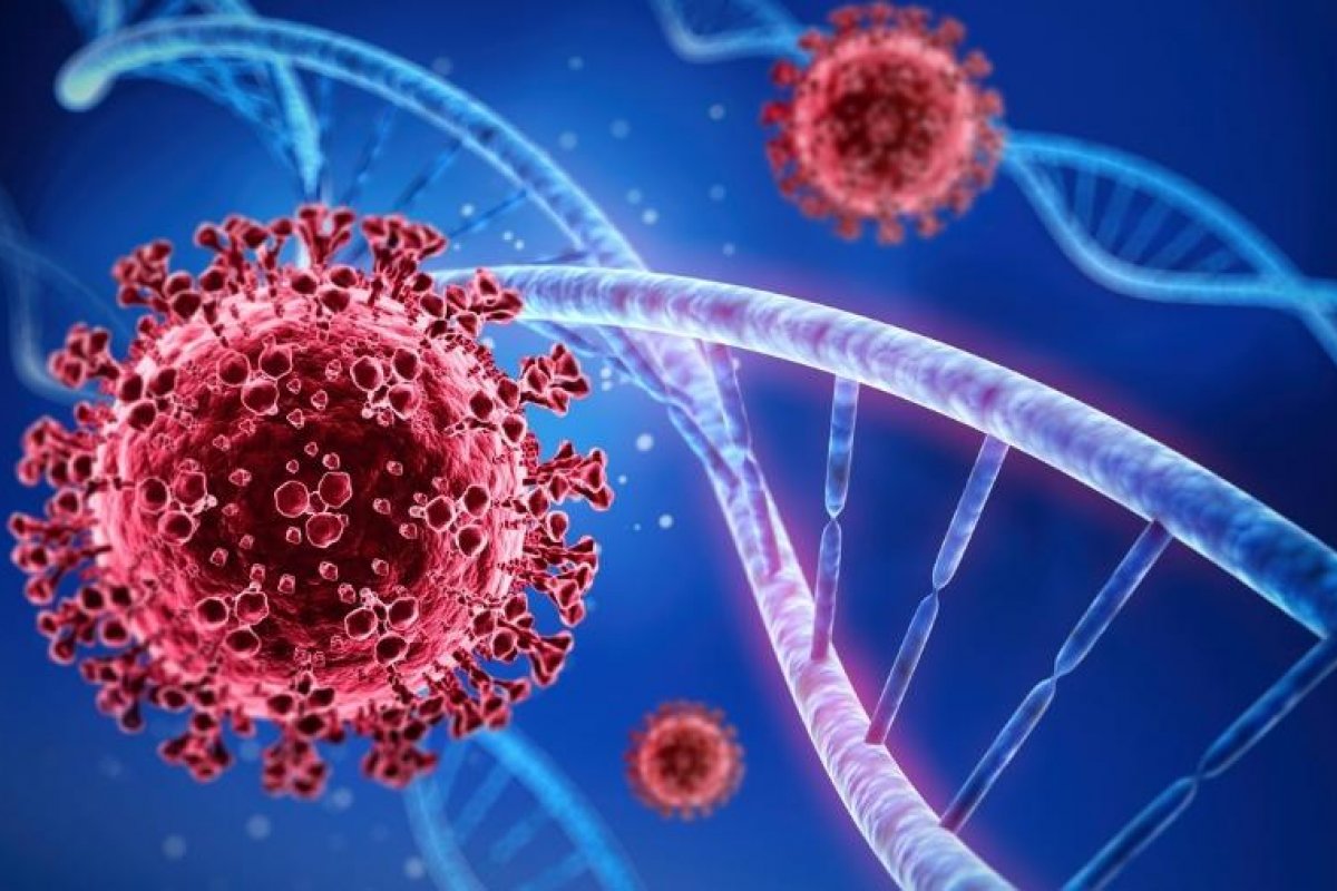 OMS diz que variante brasileira da covid-19 já foi encontrada em oito países