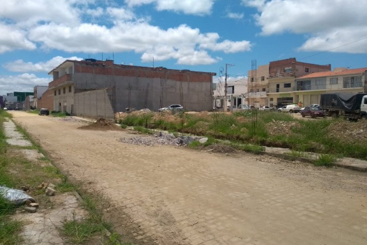 Idoso morre após ser atacado por abelhas no norte da Bahia