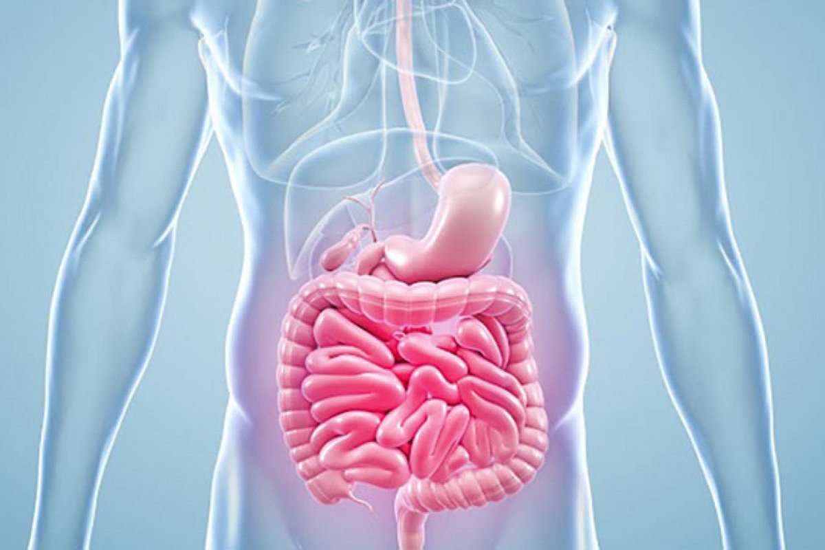 Capital baiana vai sediar simpósio internacional sobre câncer gastrointestinal