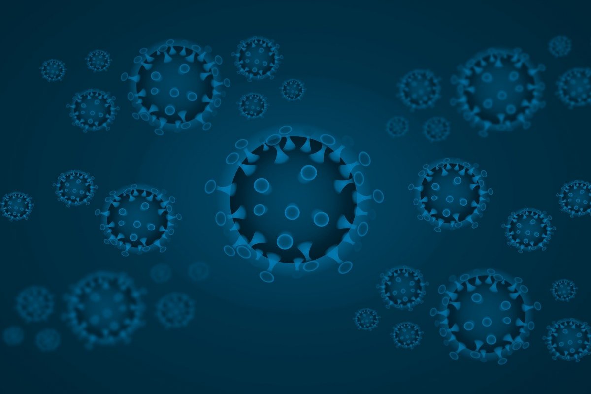 Mortes pela covid-19 no Brasil apresentam crescimento de 7%