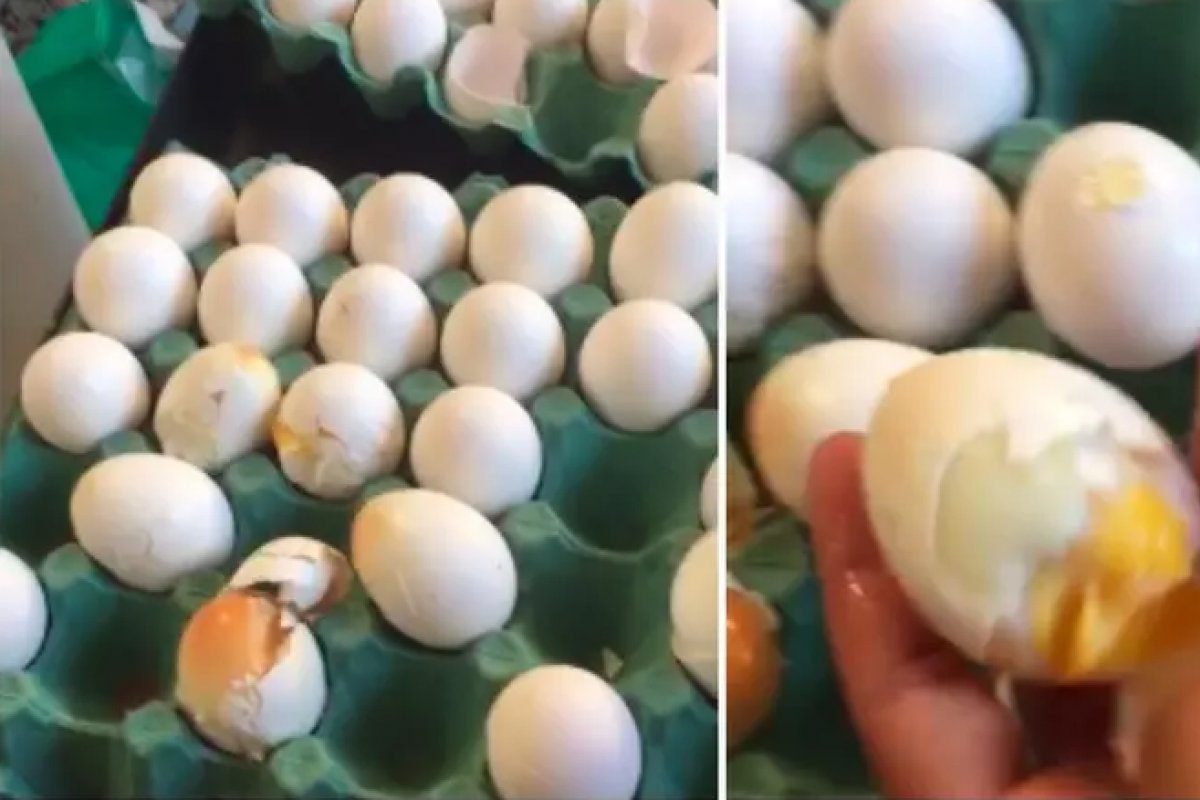 Forte calor do Rio faz ovos cozinharem na caixa