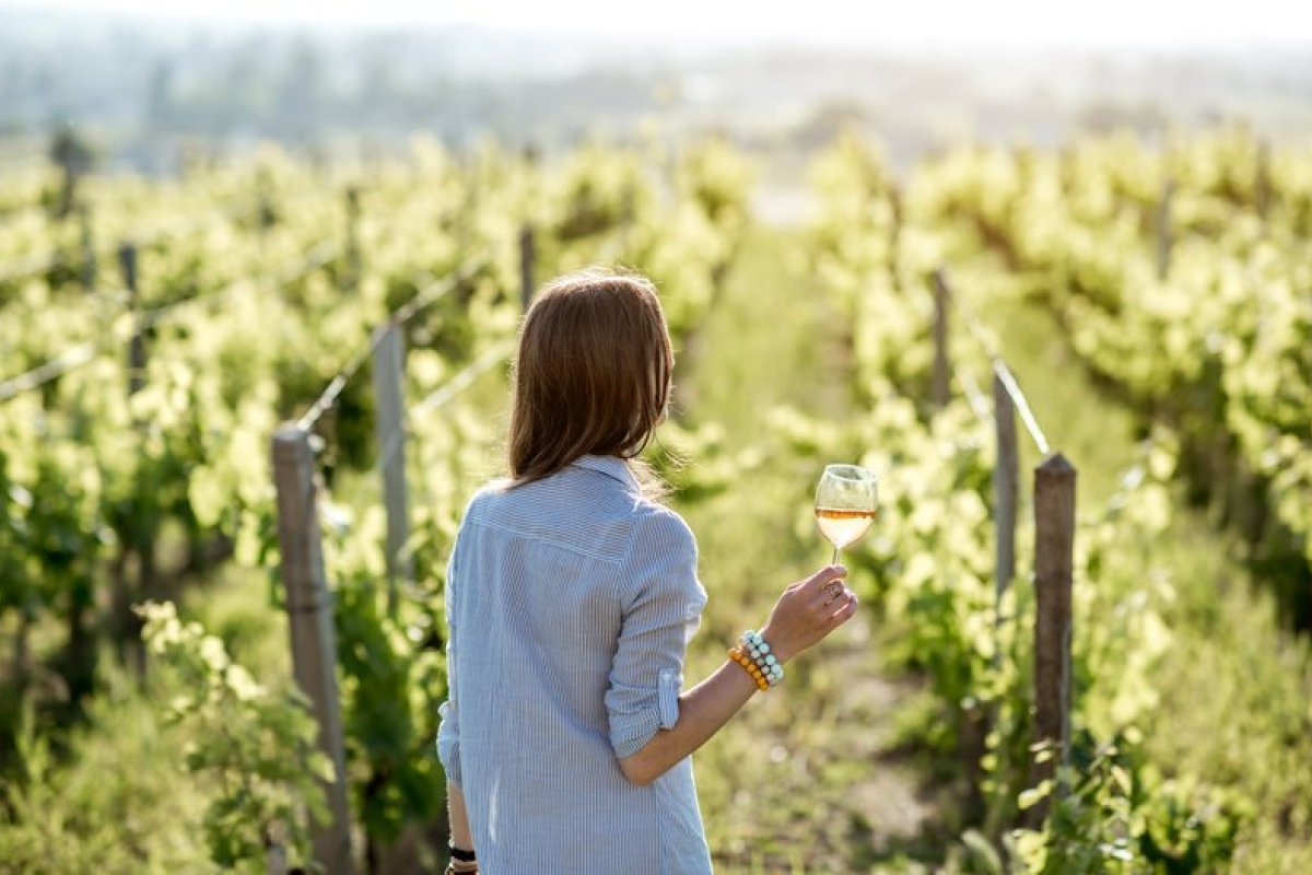 Em meio a cenário econômico de 2020, vinho brasileiro tem salto histórico de consumo
