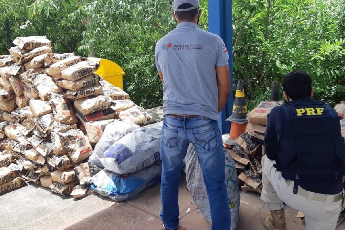 Operação da PRF e MP-BA apreende 89 pássaros silvestres e 2,5 toneladas carvão vegetal irregular na Bahia