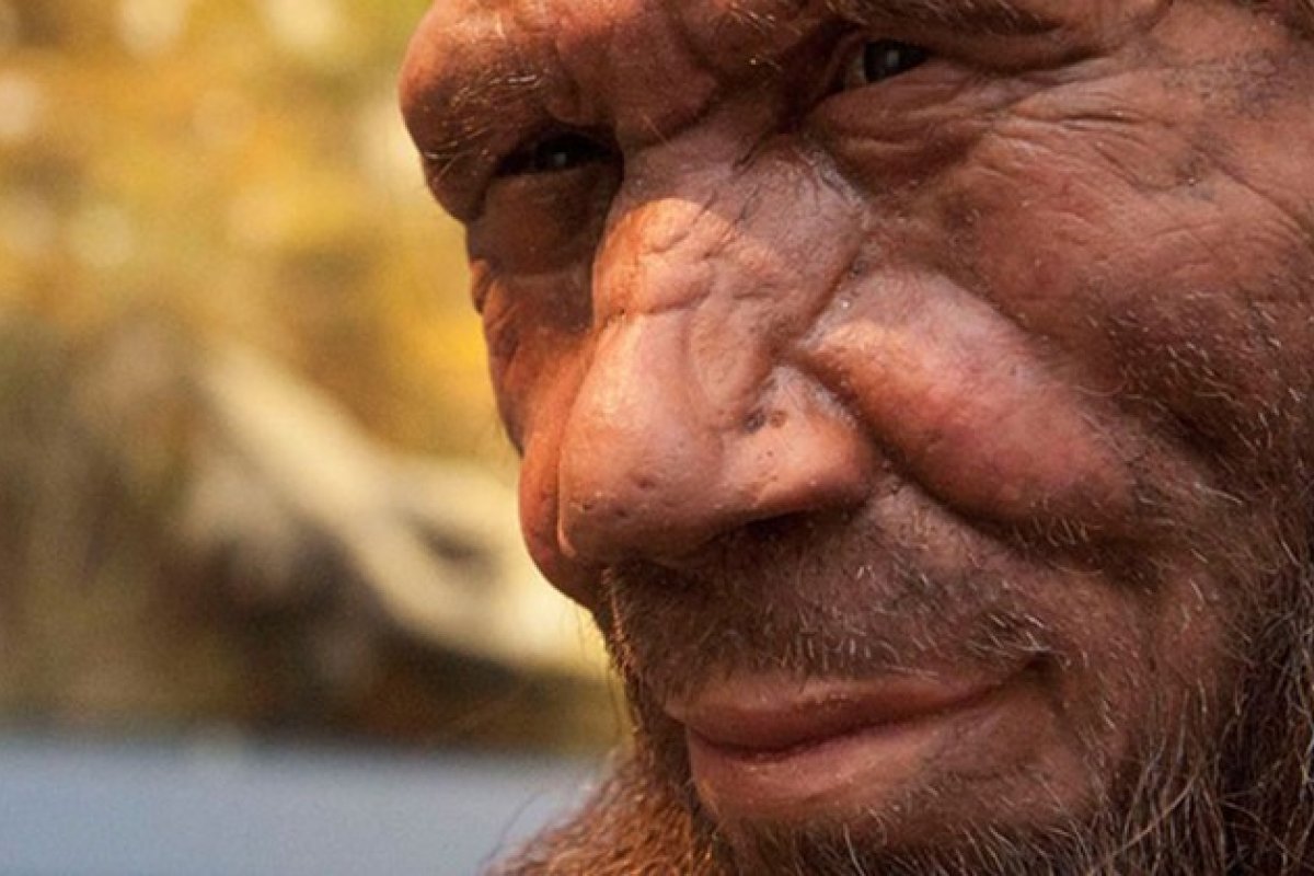 Cientistas encontram evidências que apontam cruzamento de Homo sapiens com neandertais