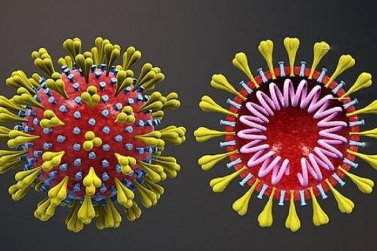Hospital israelense afirma descoberta de medicamento capaz de curar Covid-19