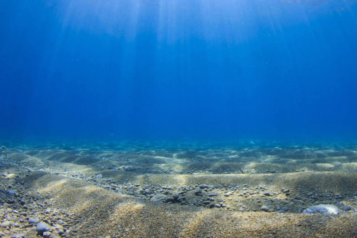 Mais de 120 bilhões de máscaras são descartadas por mês nos oceanos