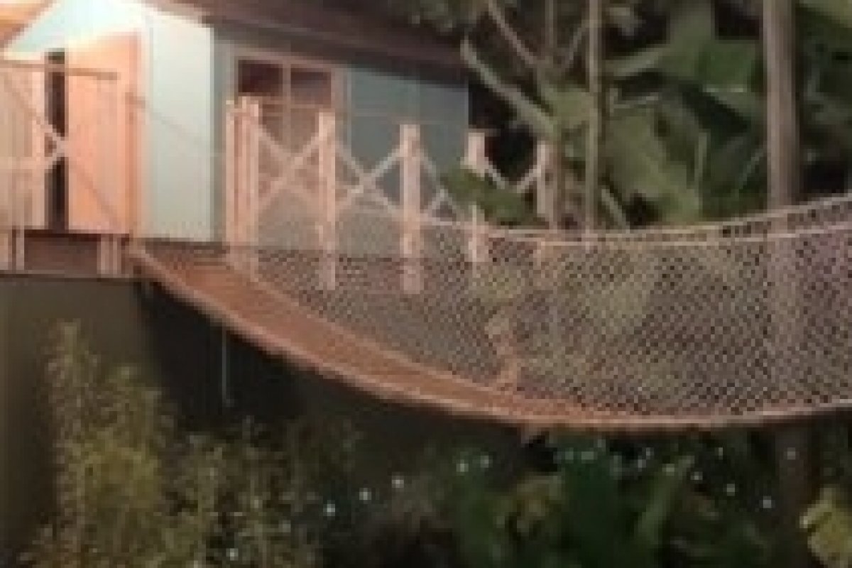 Bruno Gagliasso constrói casa na árvore