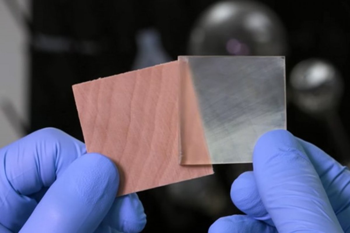 Estudo aponta que madeira transparente é mais resistente e isolante que o vidro