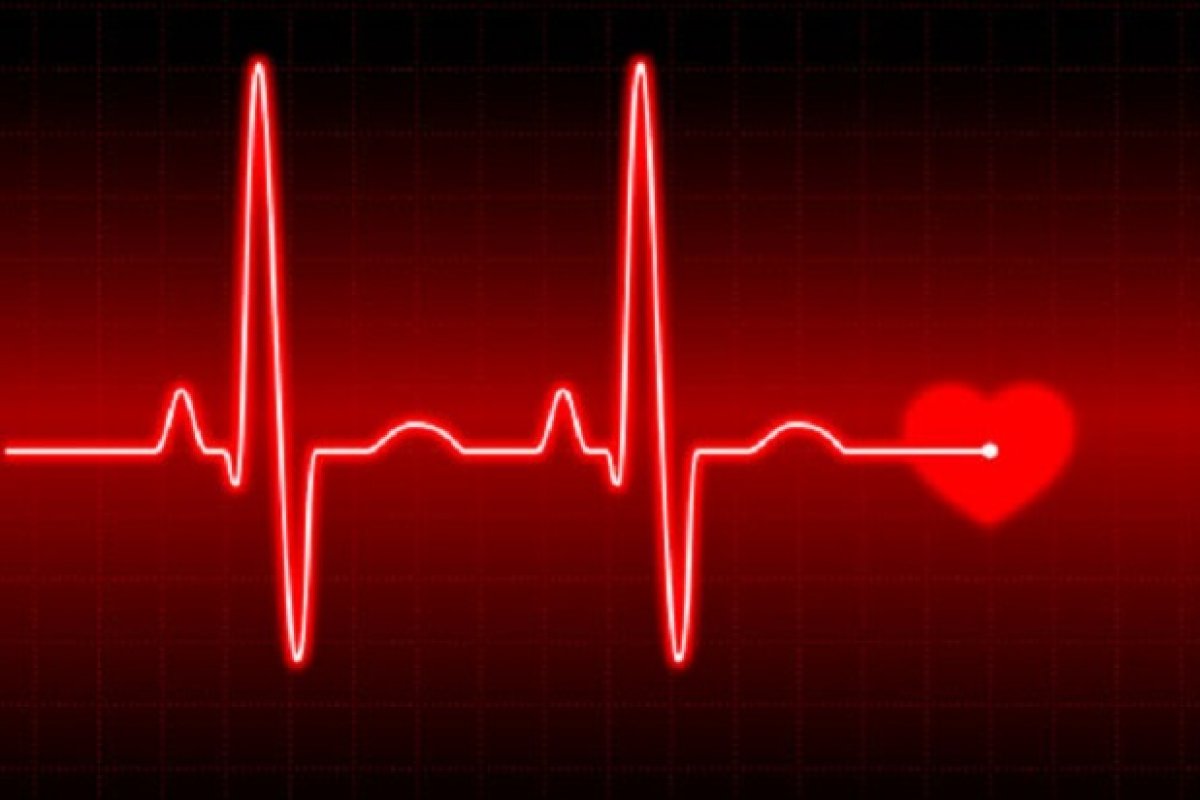 Google lança função que captura batimentos cardíacos pela câmera do celular
