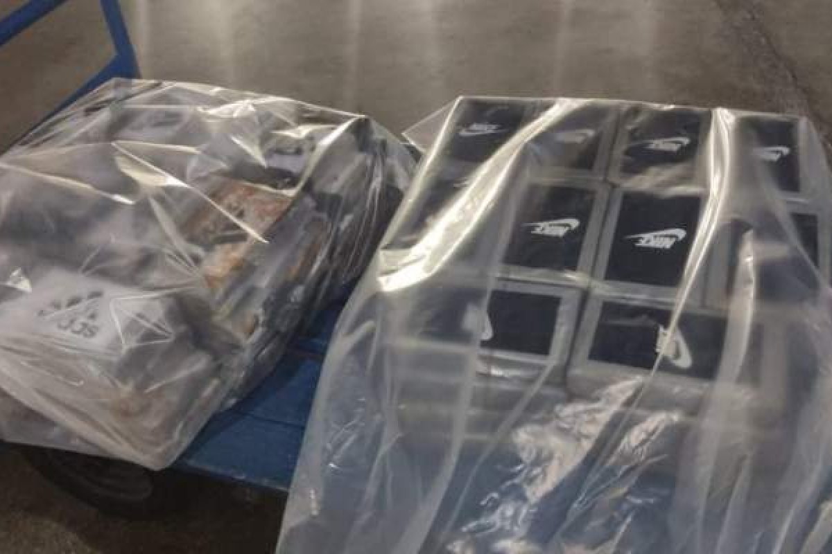 Meia tonelada de cocaína é localizada em avião no Aeroporto de Salvador