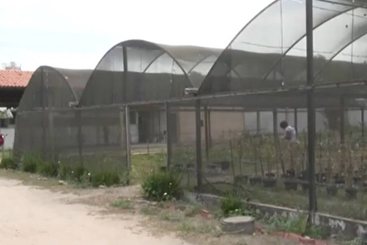 Bahia cede área de preservação usada pela Uefs para o TJ-BA