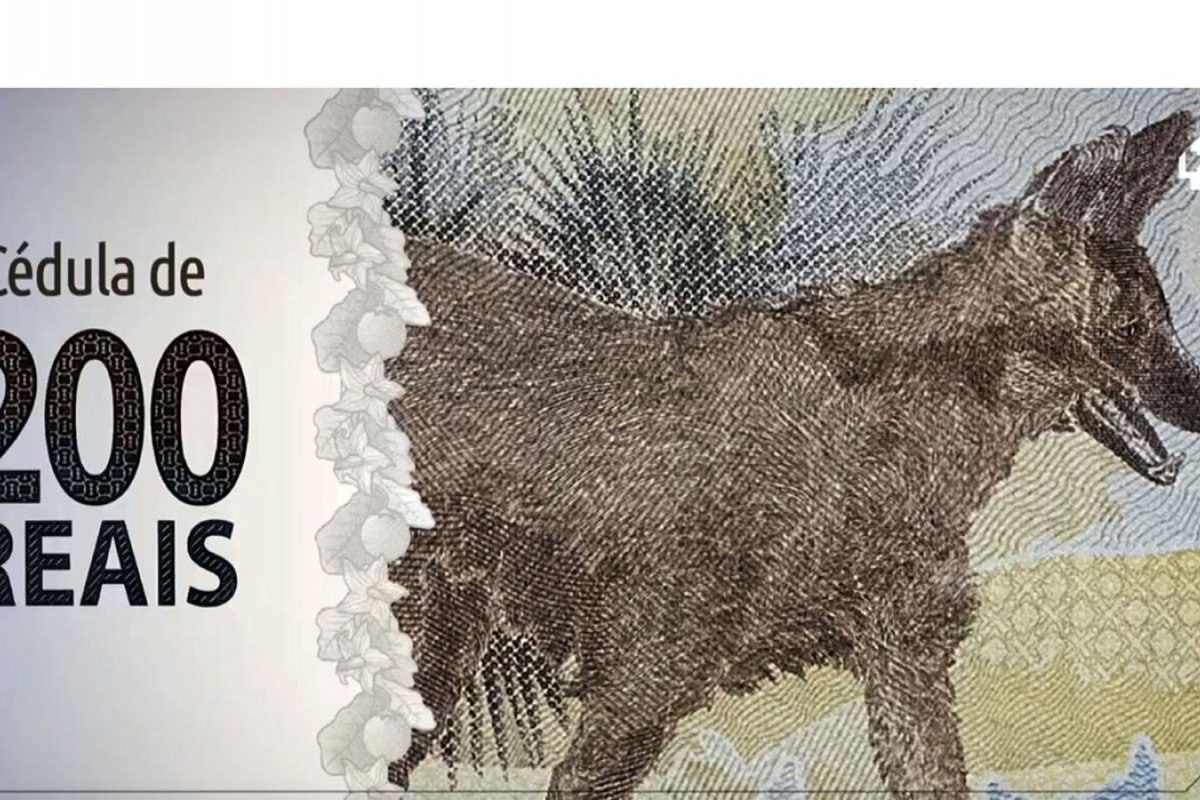 Entidades pedem fim de nota de R$ 200 em carta à ministra do STF