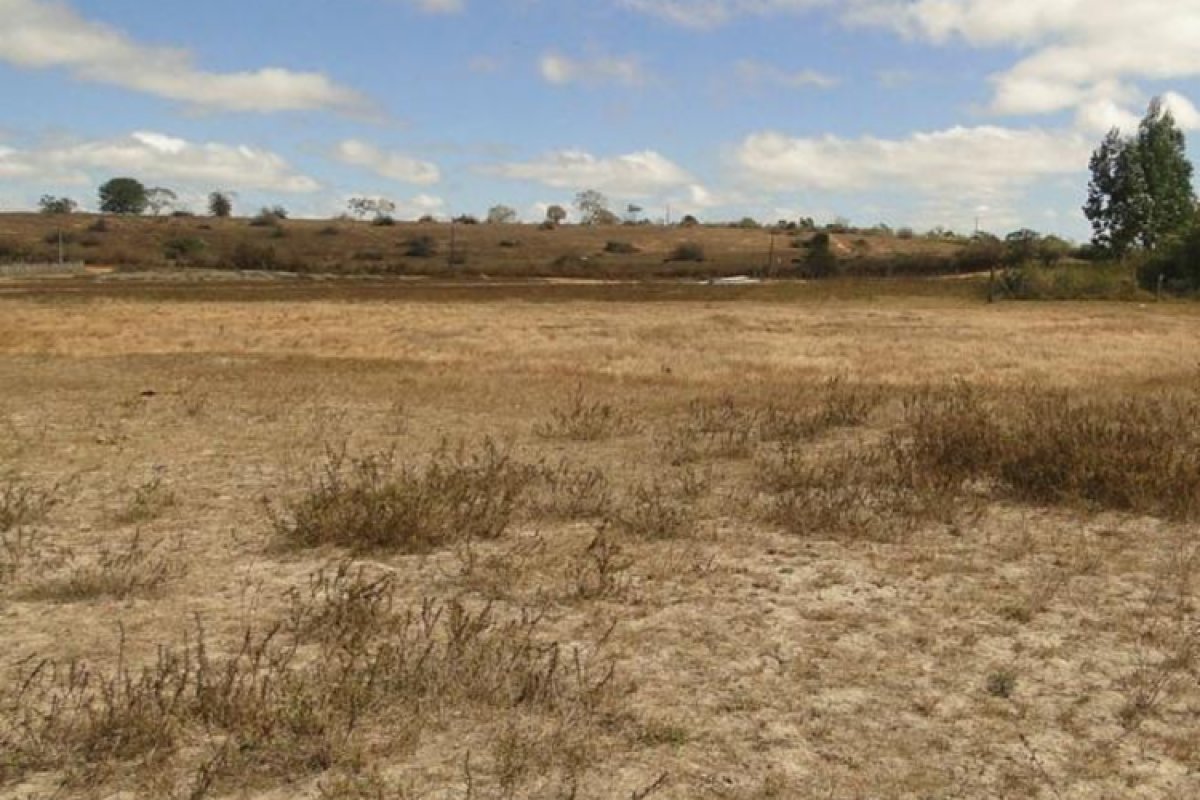 Seis cidades baianas decretam situação de emergência por conta de estiagem