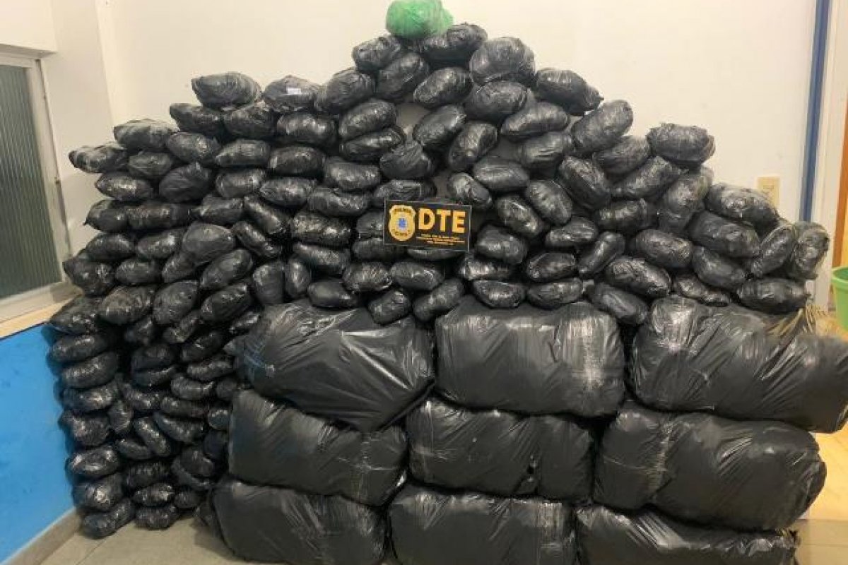Policiais civis apreendem cerca de 300 kg de maconha em Feira de Santana