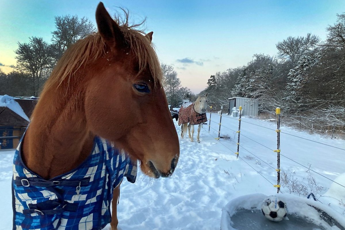 Onda de frio deixa mais de 4 milhões de pessoas sem energia, no Texas
