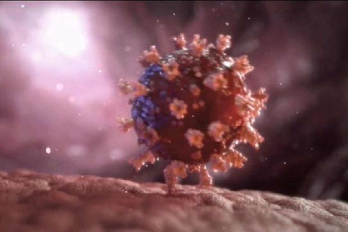 Variante brasileira do coronavírus é detectada no Rio Janeiro pela Fiocruz