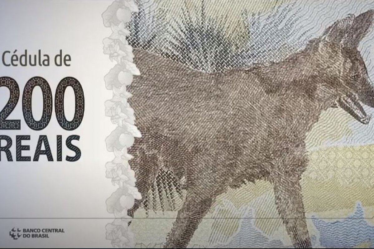 Cédula de R$ 200 tem 12,8% do que foi impresso em circulação, diz Banco Central