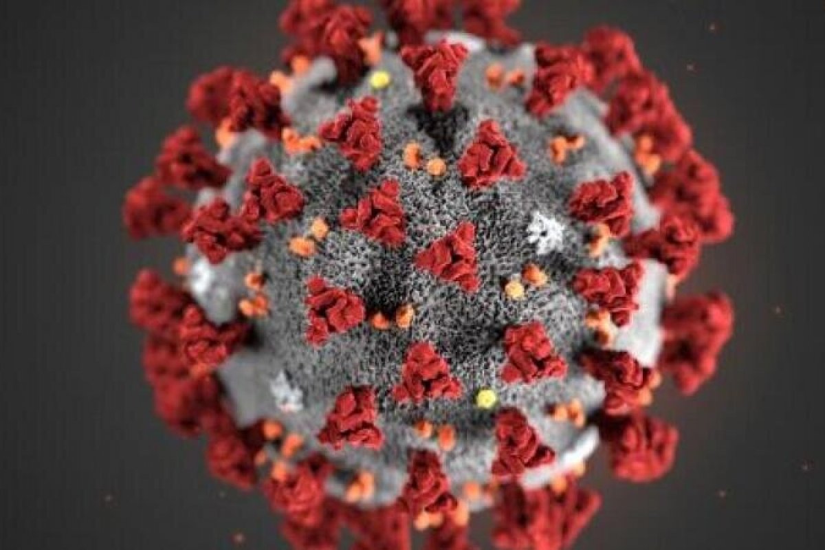 Reino Unido investiga nova variante do coronavírus