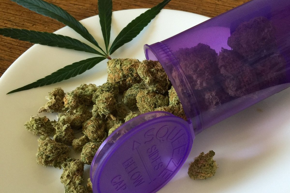 Bolsonaro é a favor de maconha medicinal mas 'não admite' plantio e consumo, diz porta-voz da presidência