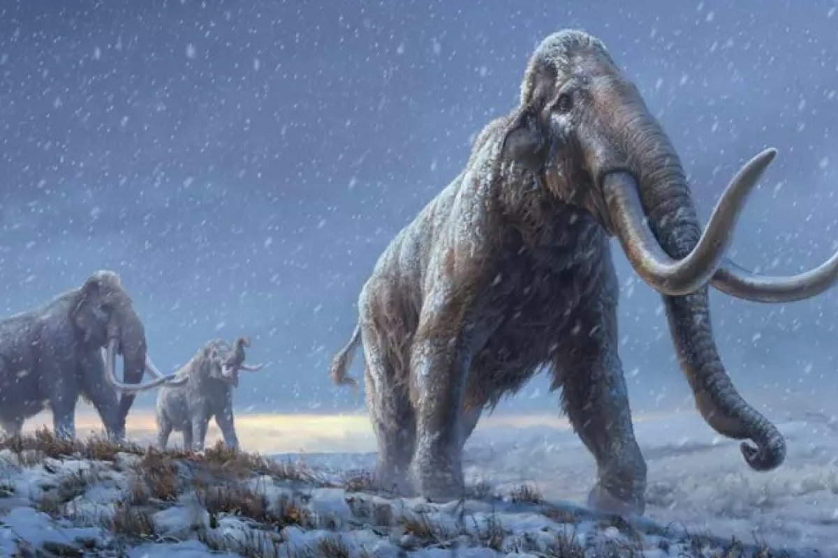 Pela primeira vez, cientistas sequenciam DNA "mais antigo do mundo"