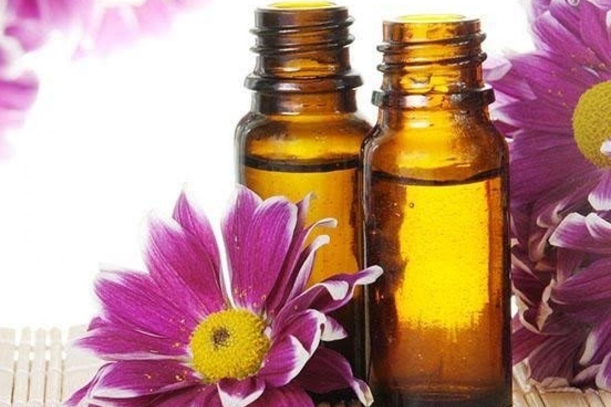 O poder dos Florais de Bach! 