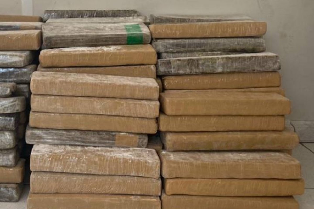 Cerca de 140 quilos de maconha são apreendidos pela polícia na RMS