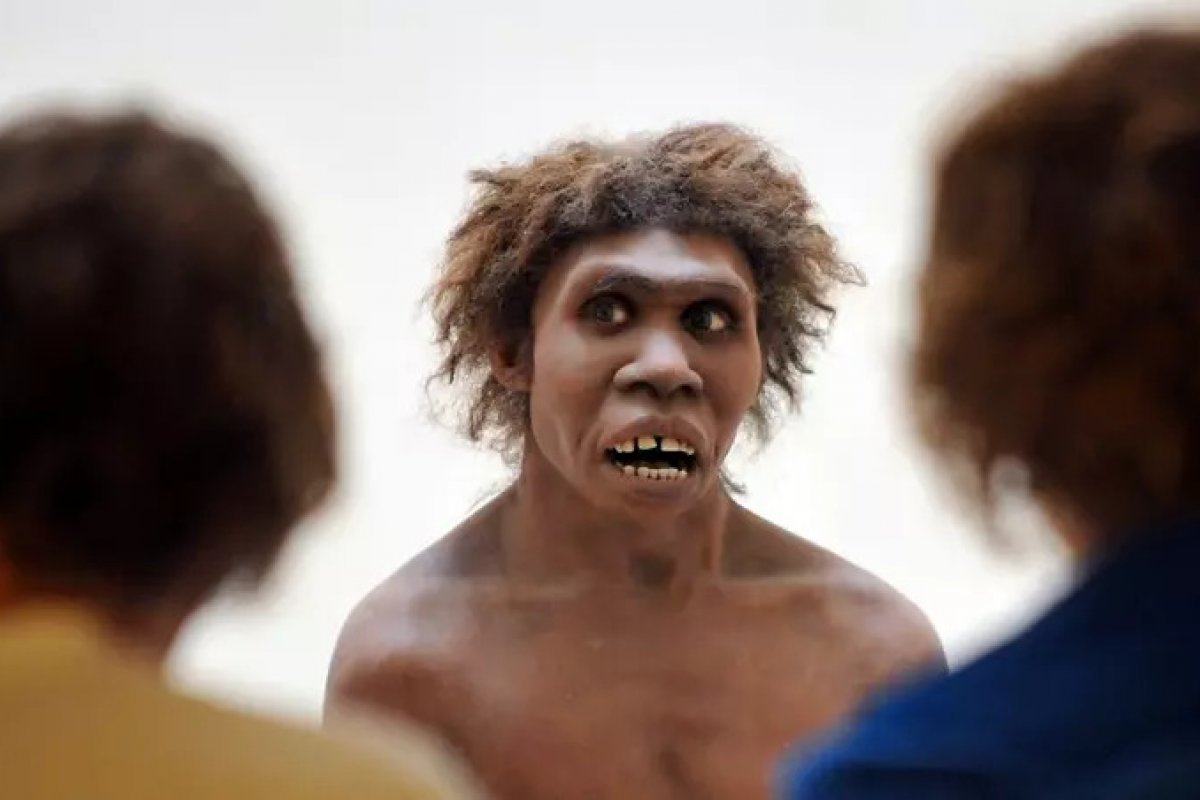 Estudos levantam possibilidade de que inversão dos polos magnéticos da Terra causaram extinção do neandertal