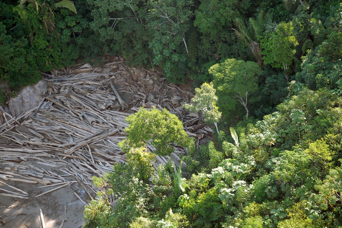 Mais de 50 ONGs pedem que o Ministro do Meio Ambiente seja investigado