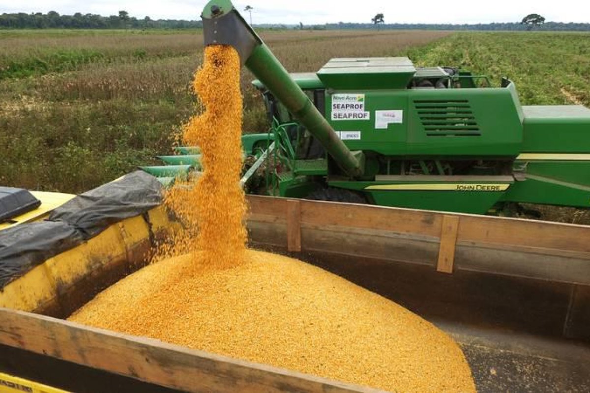 BB disponibiliza R$ 16 bilhões em crédito para produtores rurais