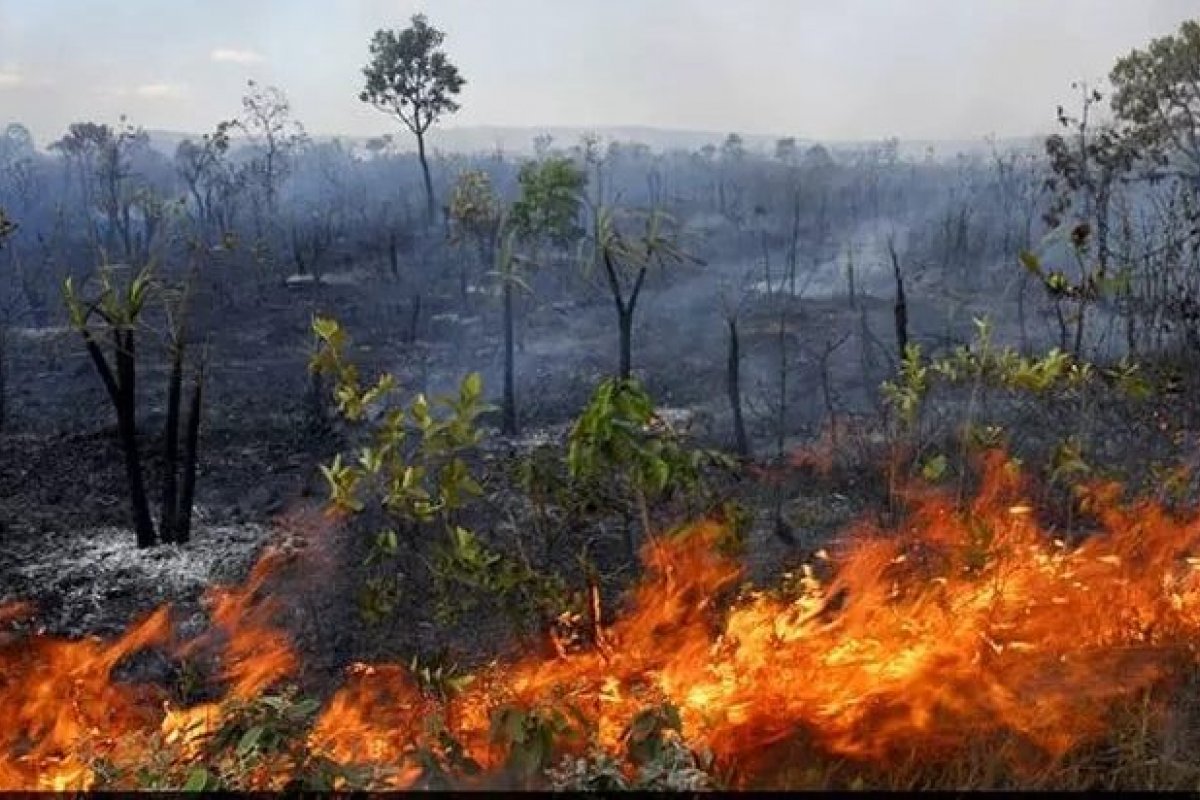 Queimadas aumentaram 82% em relação ao mesmo período de 2018
