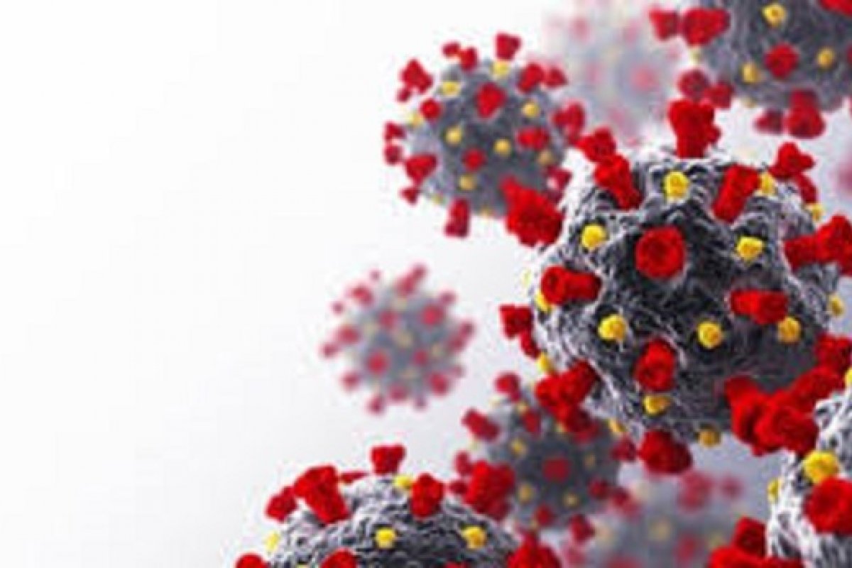 Brasil confirma mais 66 mil novos casos da covid-19