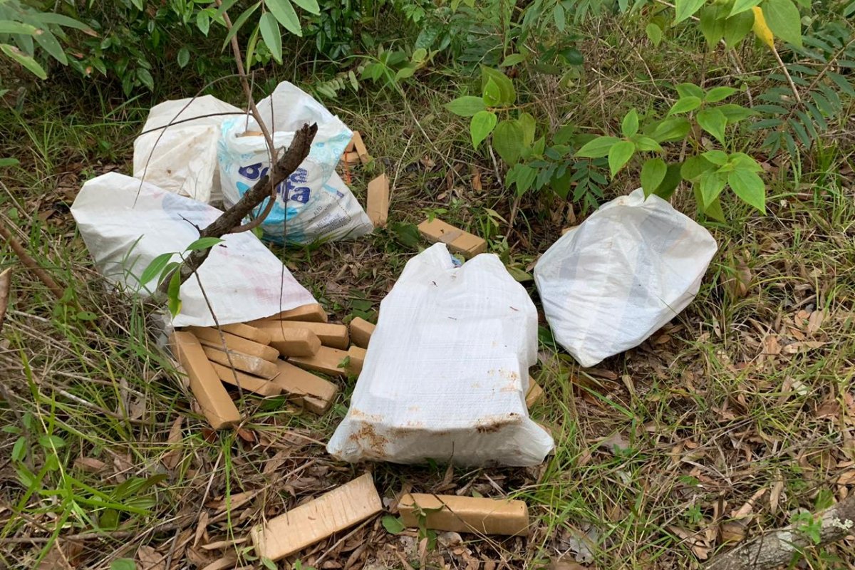 Cerca de 150 kg de maconha foi apreendido dentro de matagal em Simões Filho
