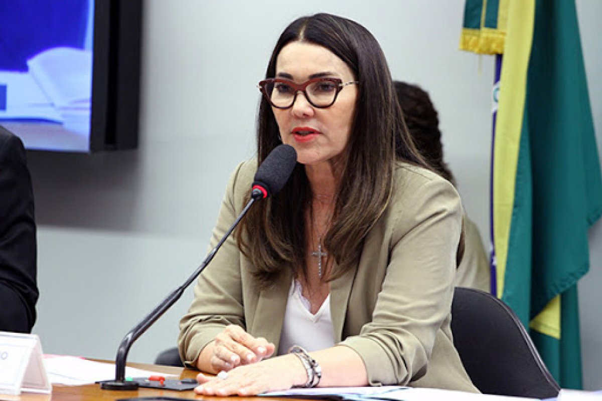 Relatora da PEC da Imunidade retira de parecer item que alterava Lei da Ficha Limpa