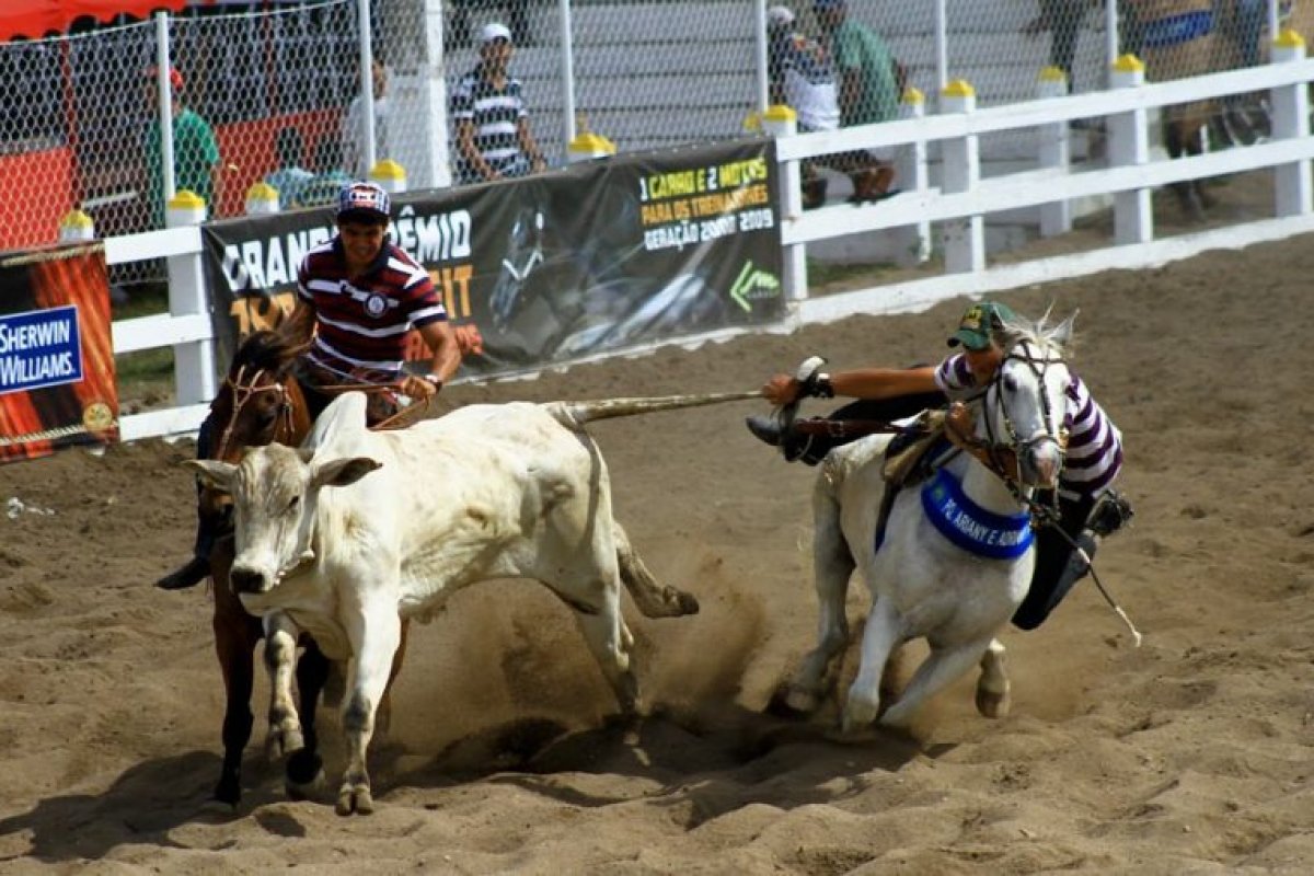 Regulamentação da vaquejada é aprovada na Câmara dos Deputados